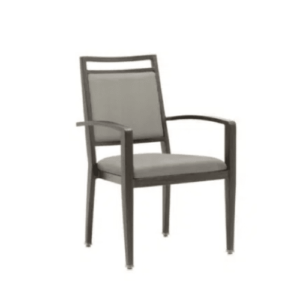 Sierra-Metal-Framed-Arm-Chair