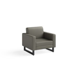 Mirella Lounge Chair (Multiple Finishes) (1732MRL2) (QUICK SHIP)